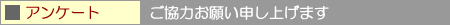 �A���P�[�g�̂��肢